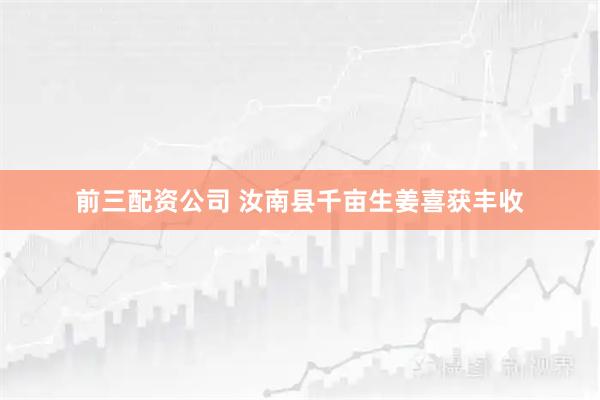 前三配资公司 汝南县千亩生姜喜获丰收