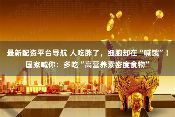 最新配资平台导航 人吃胖了，细胞却在“喊饿”！国家喊你：多吃“高营养素密度食物”
